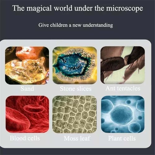 (🎁2024 New Year Hot Sale🎁 49% Off🎁) Kid's Portable Pocket Microscope